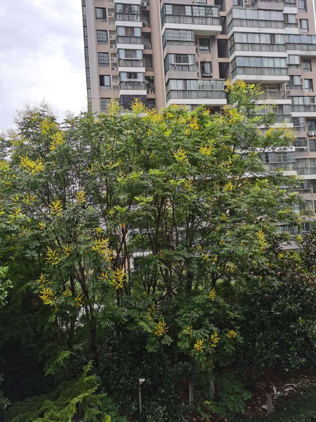 微信圖片_20200815184442.jpg