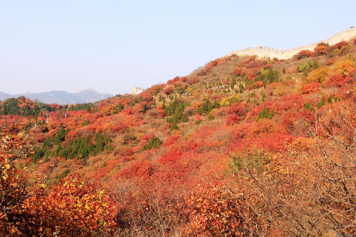 20121022122555_56296.jpg 20121022122555_56296.jpg