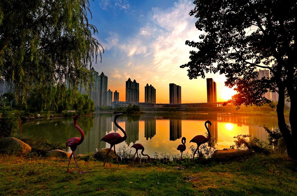 IMG_1478_調(diào)整大小.JPG