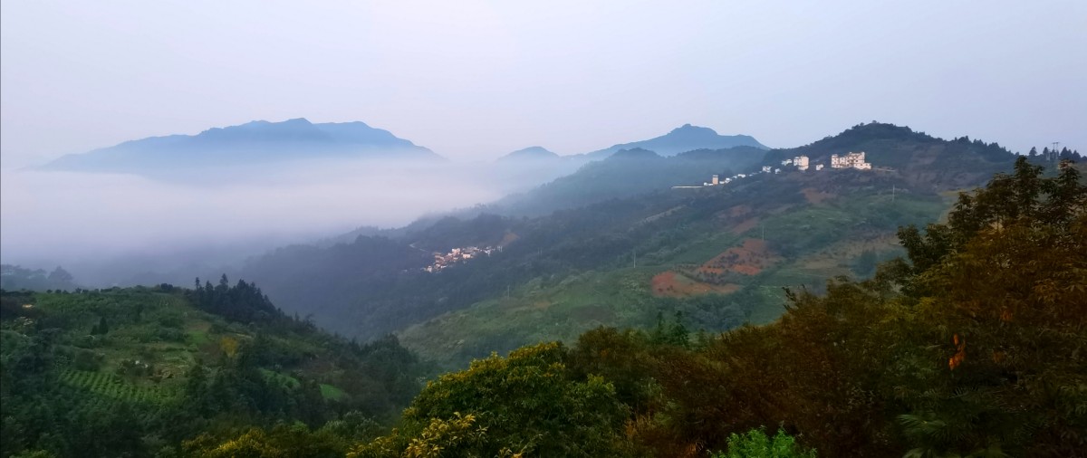 微信圖片_20200914175319.jpg