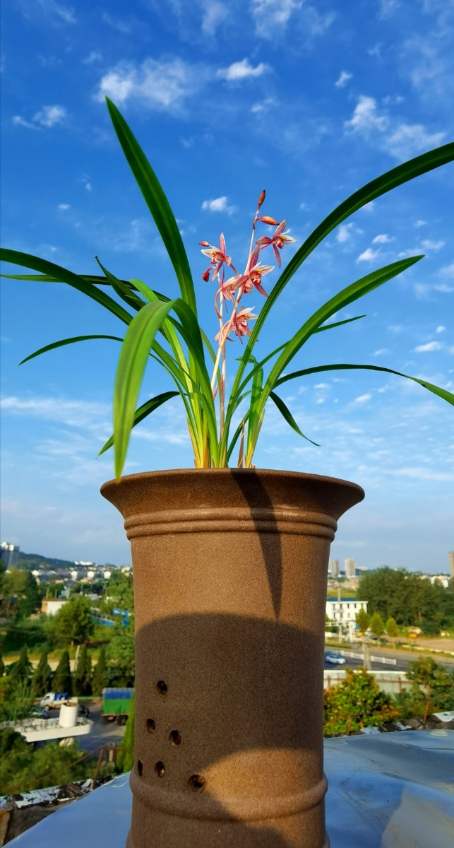 微信圖片_20200917091305.jpg