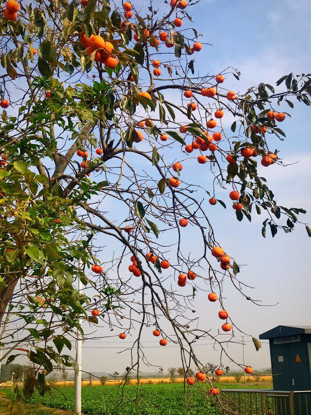 微信圖片_20201022113816.jpg