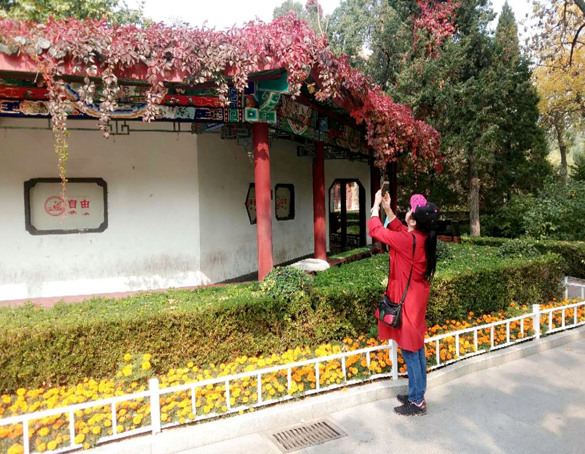 蘭拍紅葉很好.jpg
