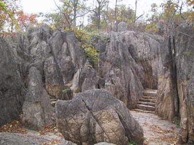 微信圖片_20201110112833.jpg 微信圖片_20201110112833.jpg