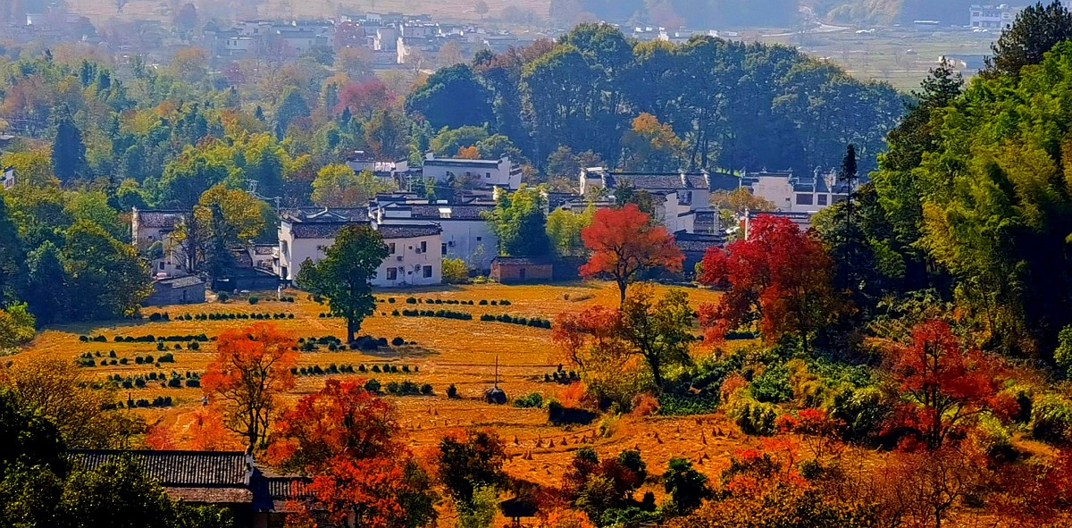 微信圖片_20201116115732.jpg