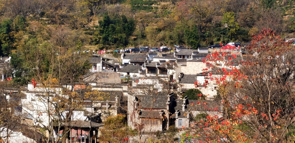 微信圖片_20201116115700.jpg