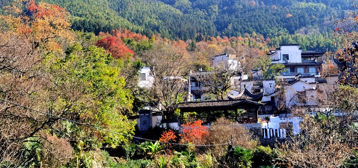 微信圖片_20201116123224.jpg