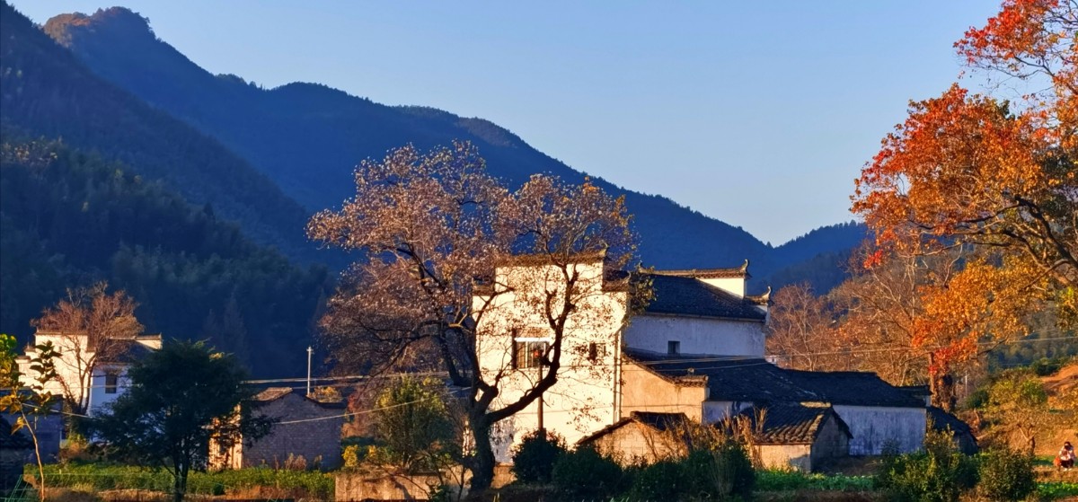 微信圖片_20201118203331.jpg