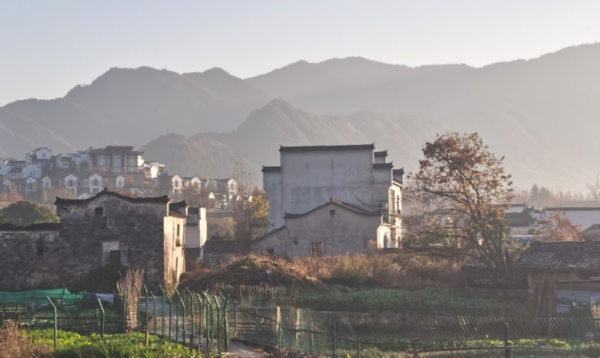 微信圖片_20201118203306.jpg