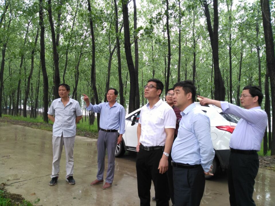 微信圖片_20201120143401.jpg 微信圖片_20201120143401.jpg