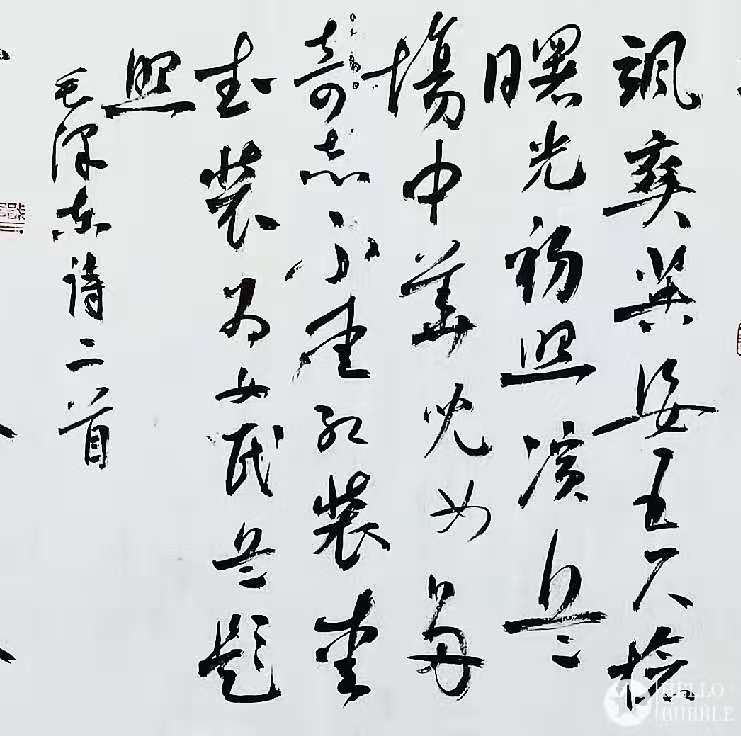 微信圖片_20201127204110.jpg