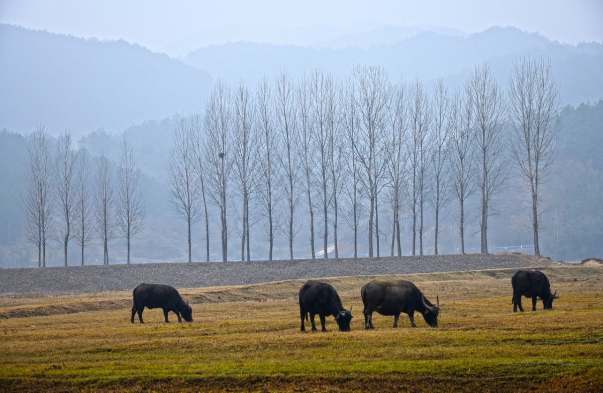DSC_7213_調(diào)整大小.JPG