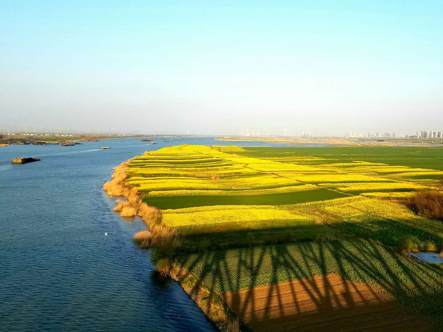 微信圖片_20200817160916.jpg