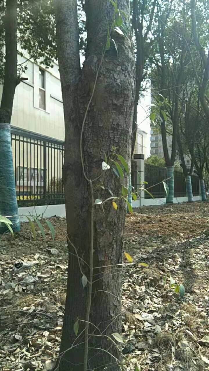微信圖片_20210223220605.jpg