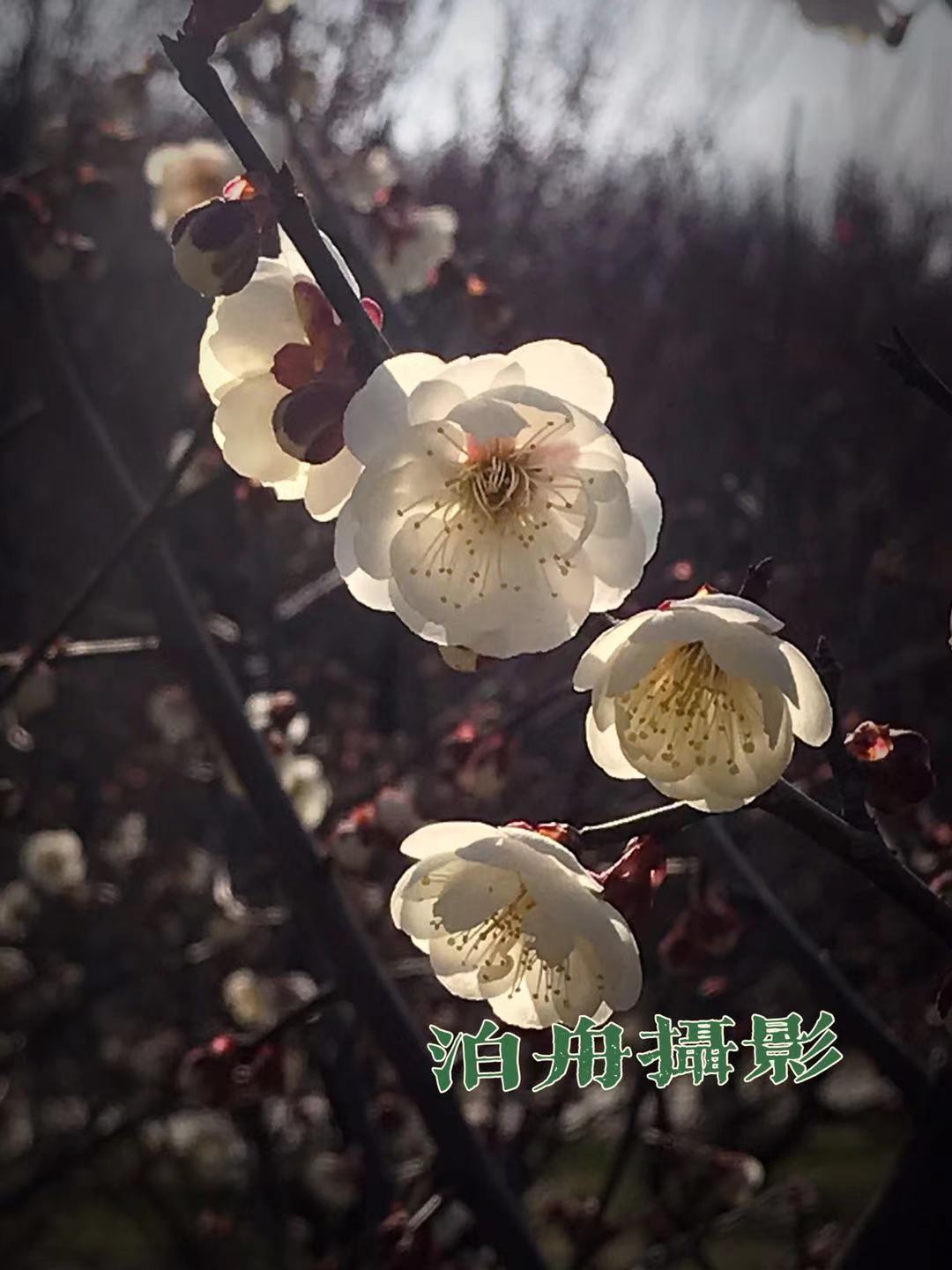 微信圖片_20210224104307.jpg