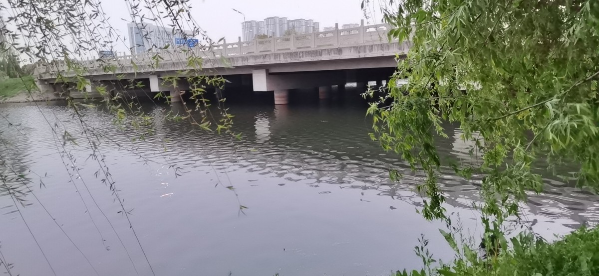 微信圖片_202104160940341.jpg