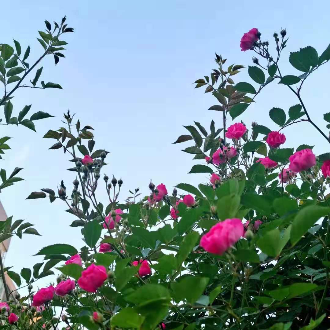 微信圖片_20210418195050.jpg