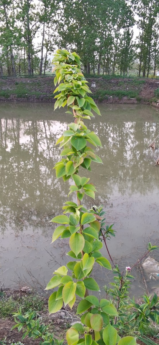 微信圖片_202104160940343.jpg 微信圖片_202104160940343.jpg