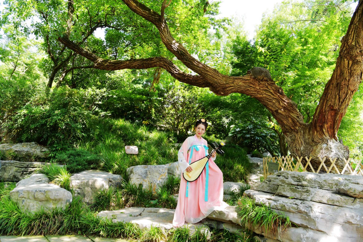 DSC_8982.JPG