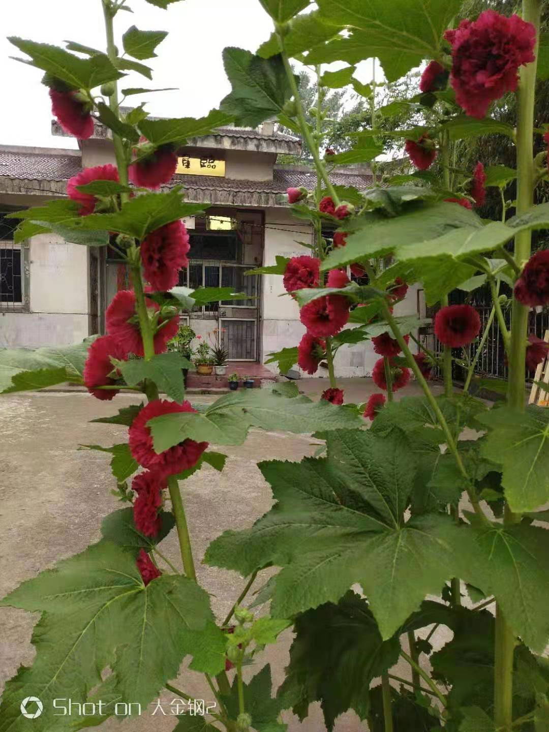 微信圖片_20210609064037.jpg