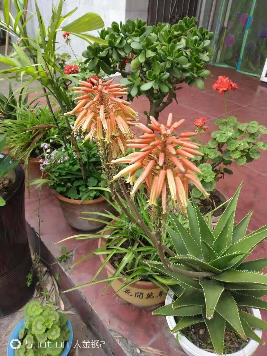 微信圖片_20210609064042.jpg