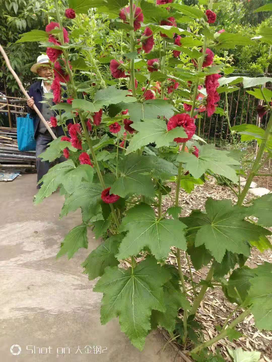 微信圖片_20210609064049.jpg
