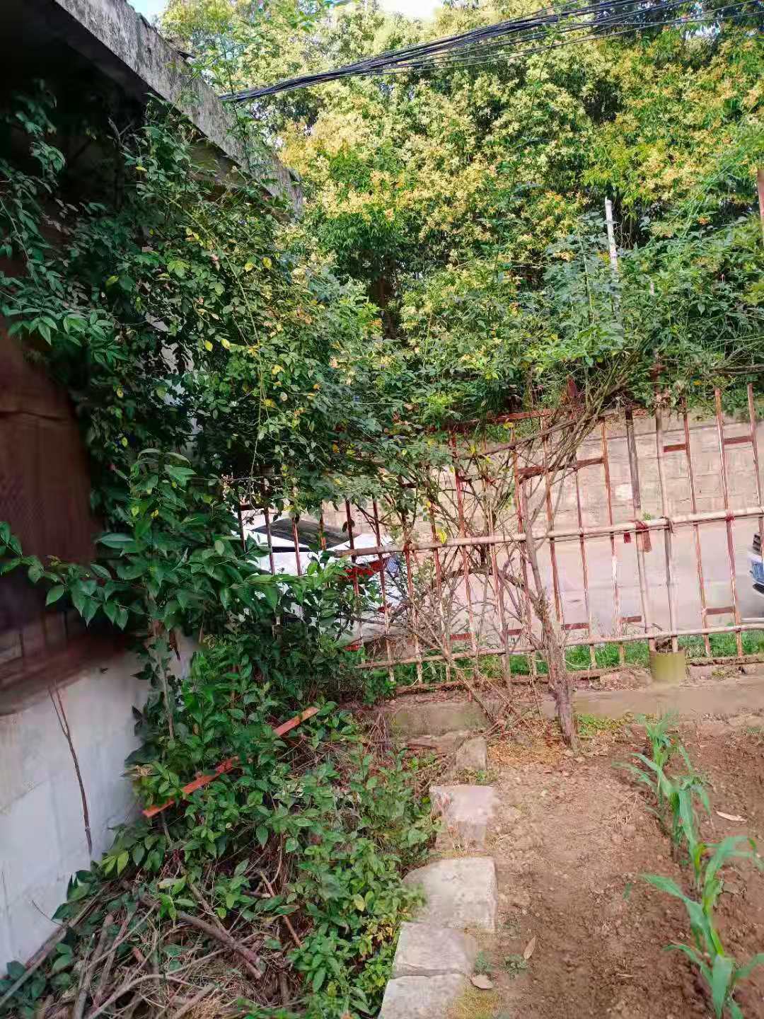 微信圖片_20210609082058.jpg
