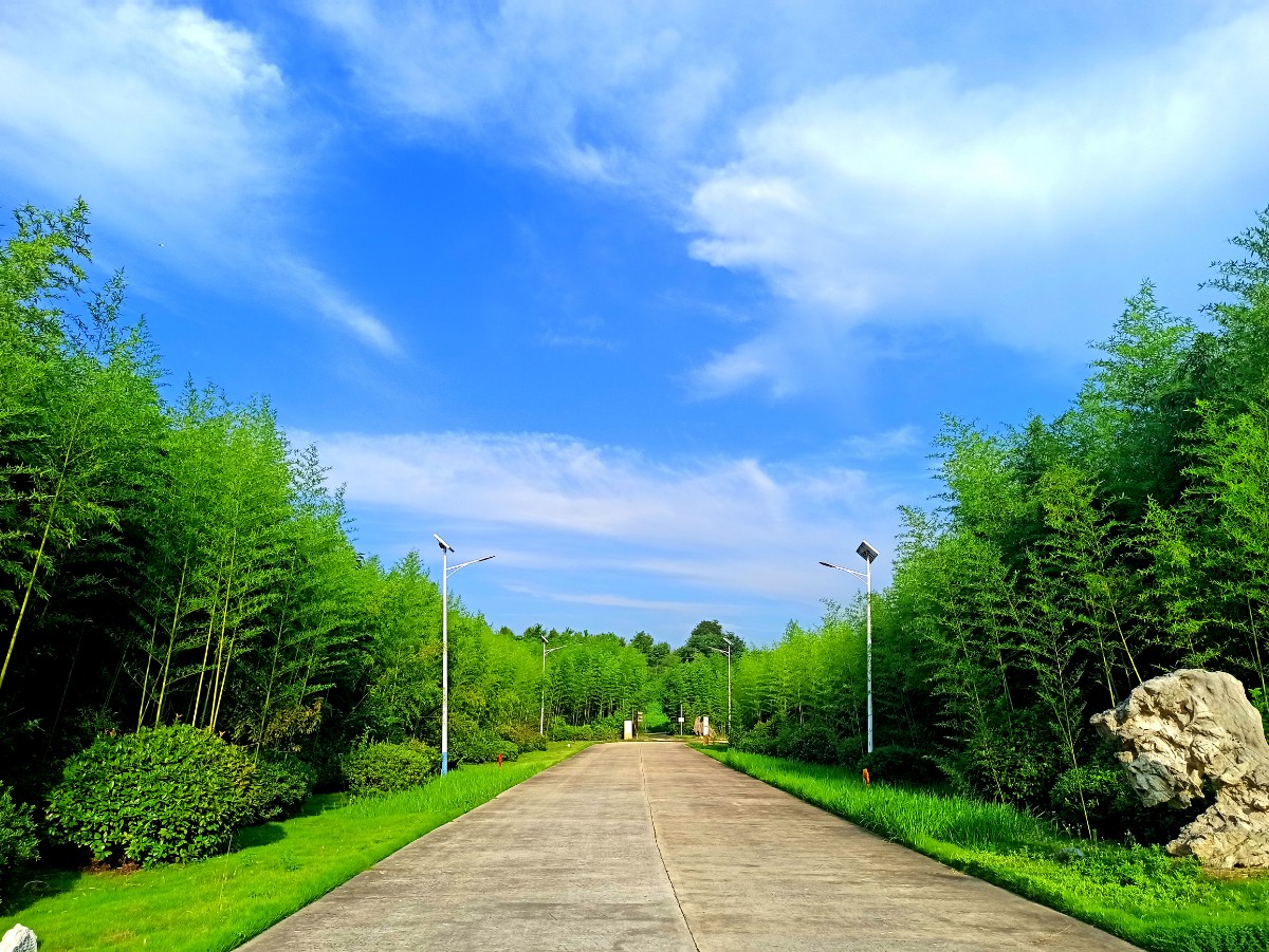 3園區(qū)道路.jpg