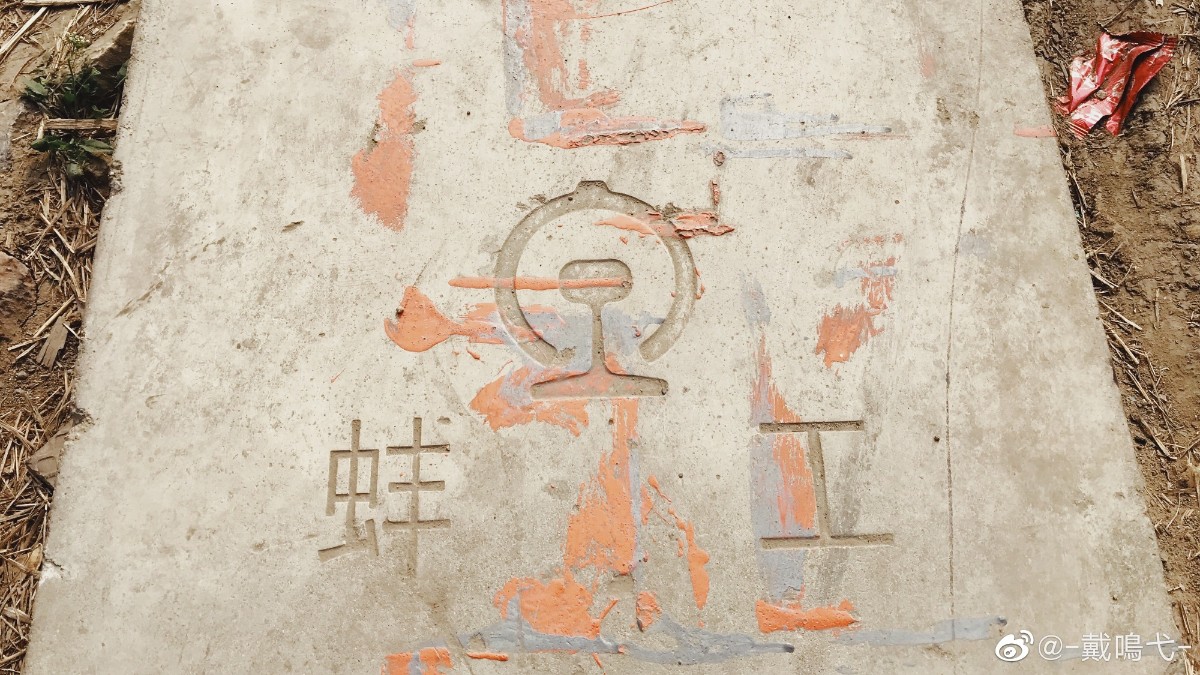 005IGSw4ly1g7u61a5sdqj33401qznpe.jpg