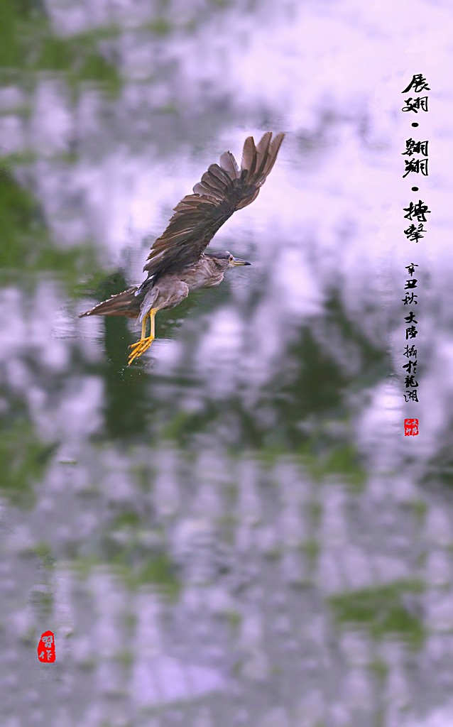 IMG_9276-1 - 副本 - 副本_調整大小.jpg