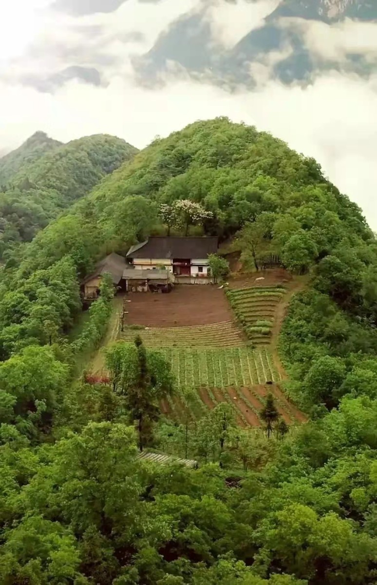 微信圖片_20220208085830.jpg 微信圖片_20220208085830.jpg