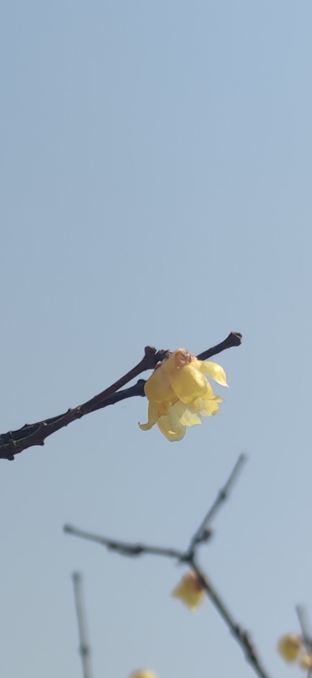 IMG_20220301_015927.jpg