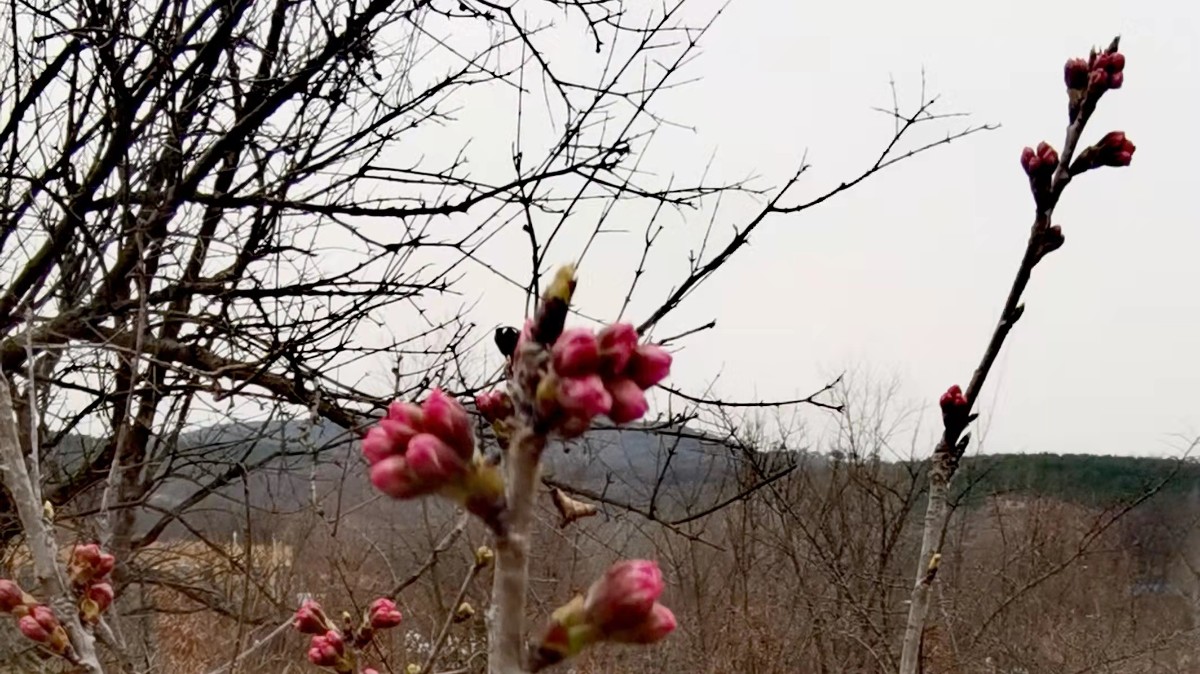 微信圖片_202203201215535.jpg 微信圖片_202203201215535.jpg