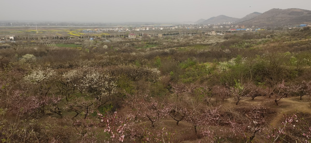 微信圖片_202203301512003.jpg