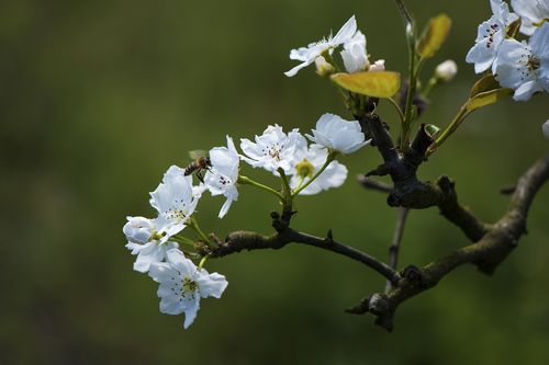 96b0762d-12c8-40bf-96bd-3842b375c677.jpg 96b0762d-12c8-40bf-96bd-3842b375c677.jpg