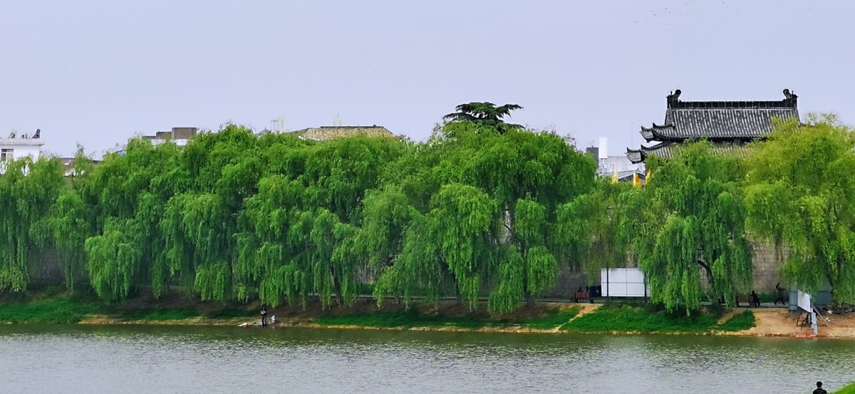 微信圖片_202204201000472.jpg