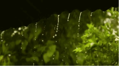 ede9e98eg00qcqev500kic000dx007rm.gif