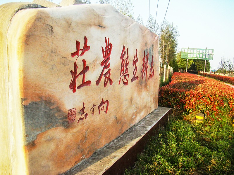 5DSC04244_副本.jpg