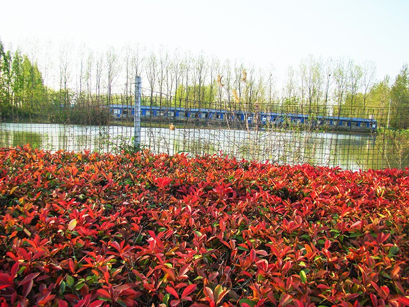 06DSC04239_副本.jpg