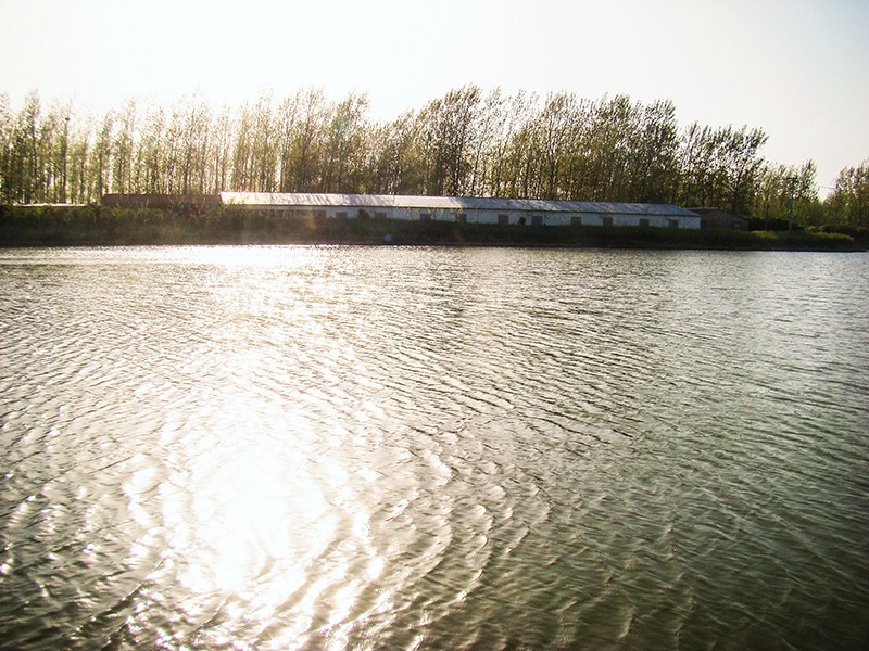 010.jpg