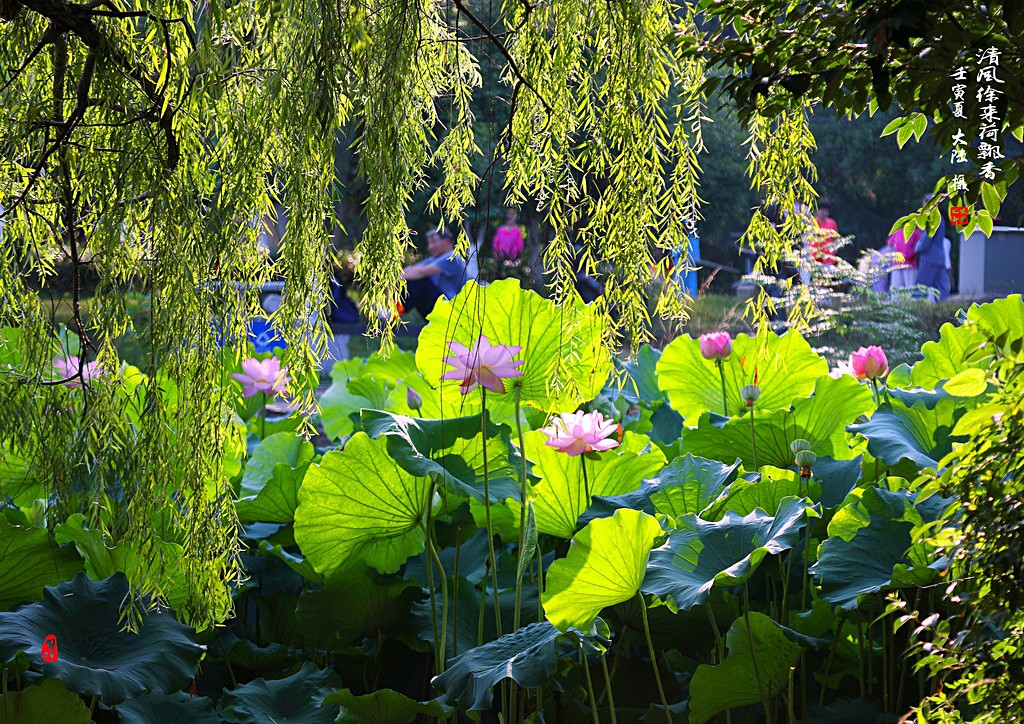 IMG_2298_全景圖00-1-1_調整大小.jpg
