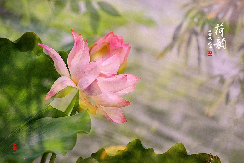 1IMG_1941-1_調整大小.jpg