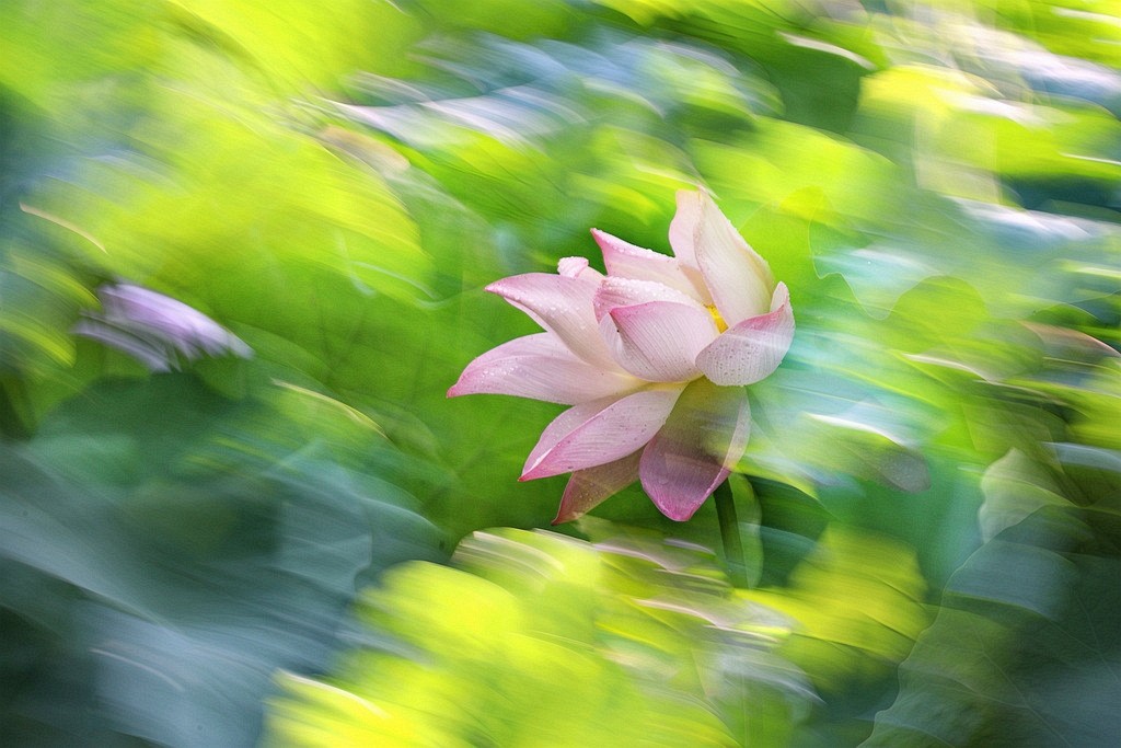 IMG_2859_調整大小.JPG