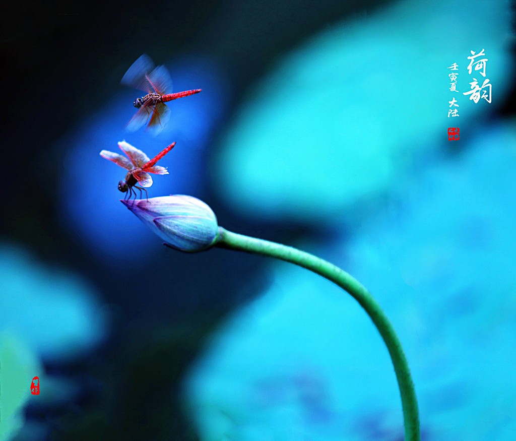 01IMG_9887-000-0_調整大小.jpg