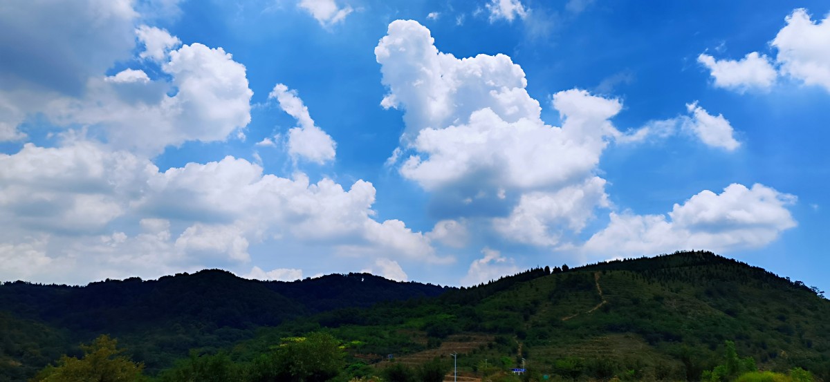微信圖片_20220704081038.jpg 微信圖片_20220704081038.jpg