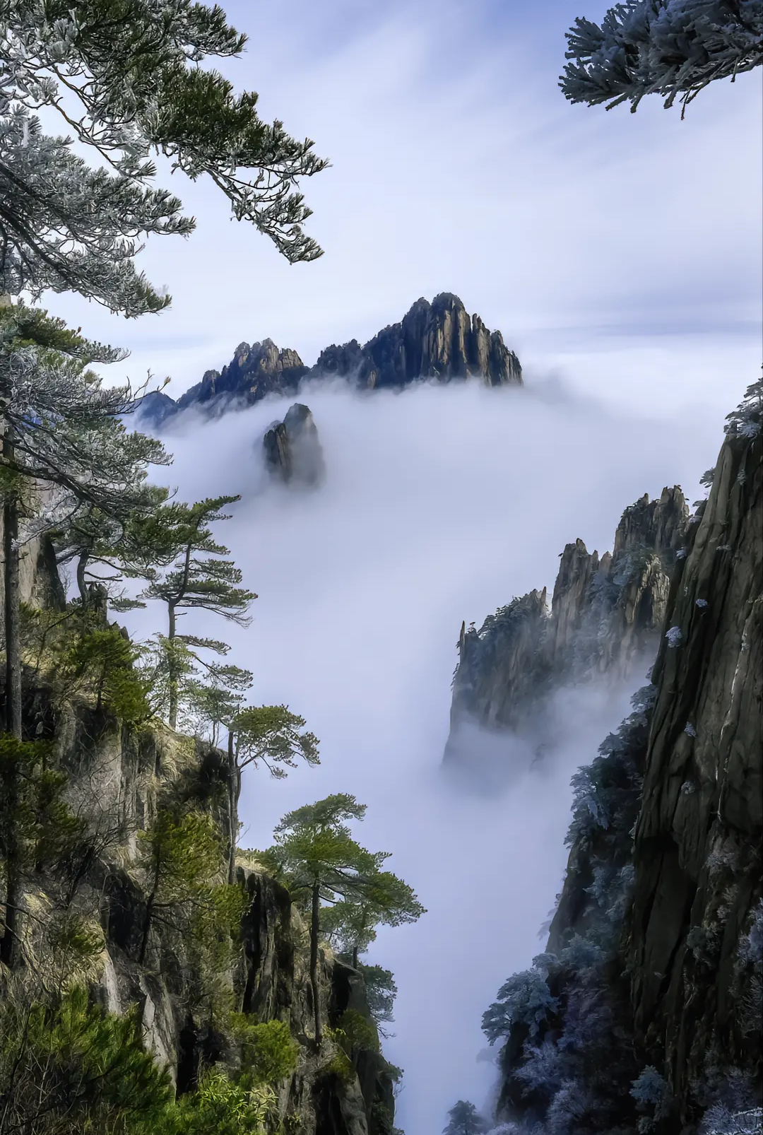 微信圖片_202208120914183.png 微信圖片_202208120914183.png