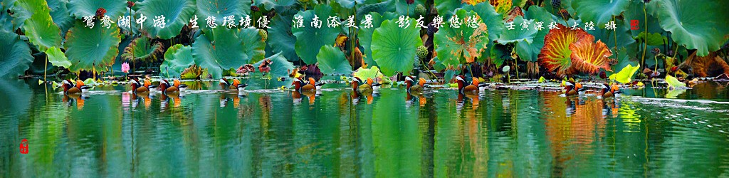 BA5A7729-65-01 - 副本_調整大小.jpg