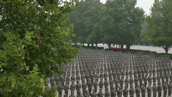 736ac62809194a8abb2a3737b51b64f1.gif