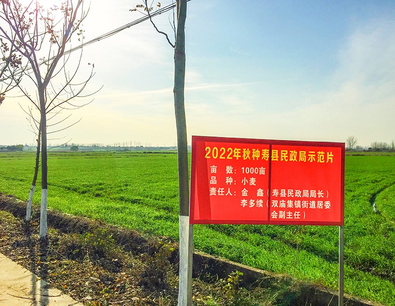 IMG_0382_副本.jpg