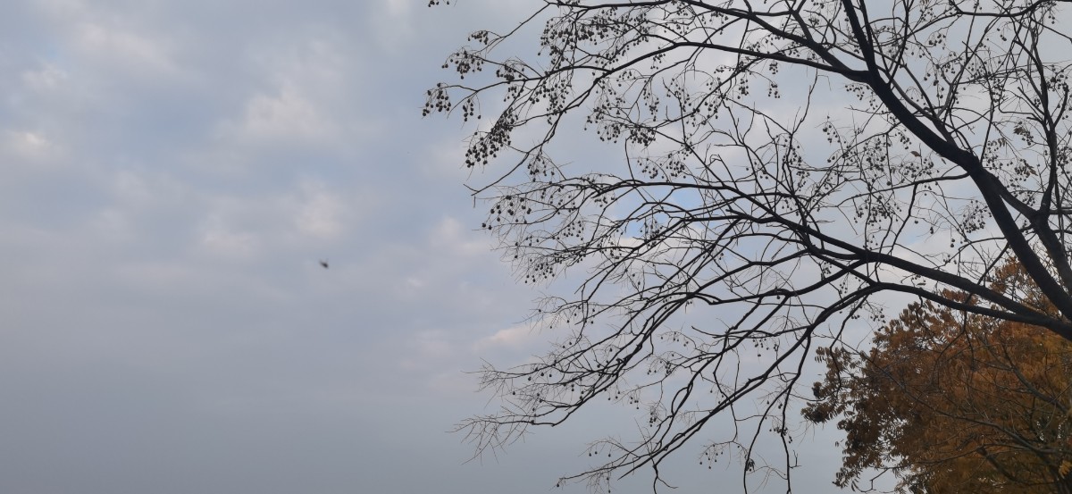 微信圖片_2022120809300314.jpg 微信圖片_2022120809300314.jpg